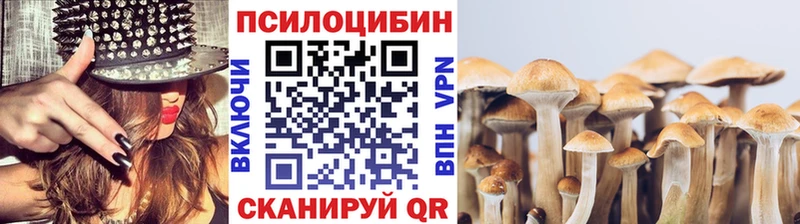omg вход  Снежногорск  Псилоцибиновые грибы прущие грибы 