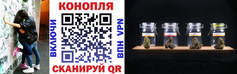 Бошки марихуана ГИДРОПОН  Снежногорск 